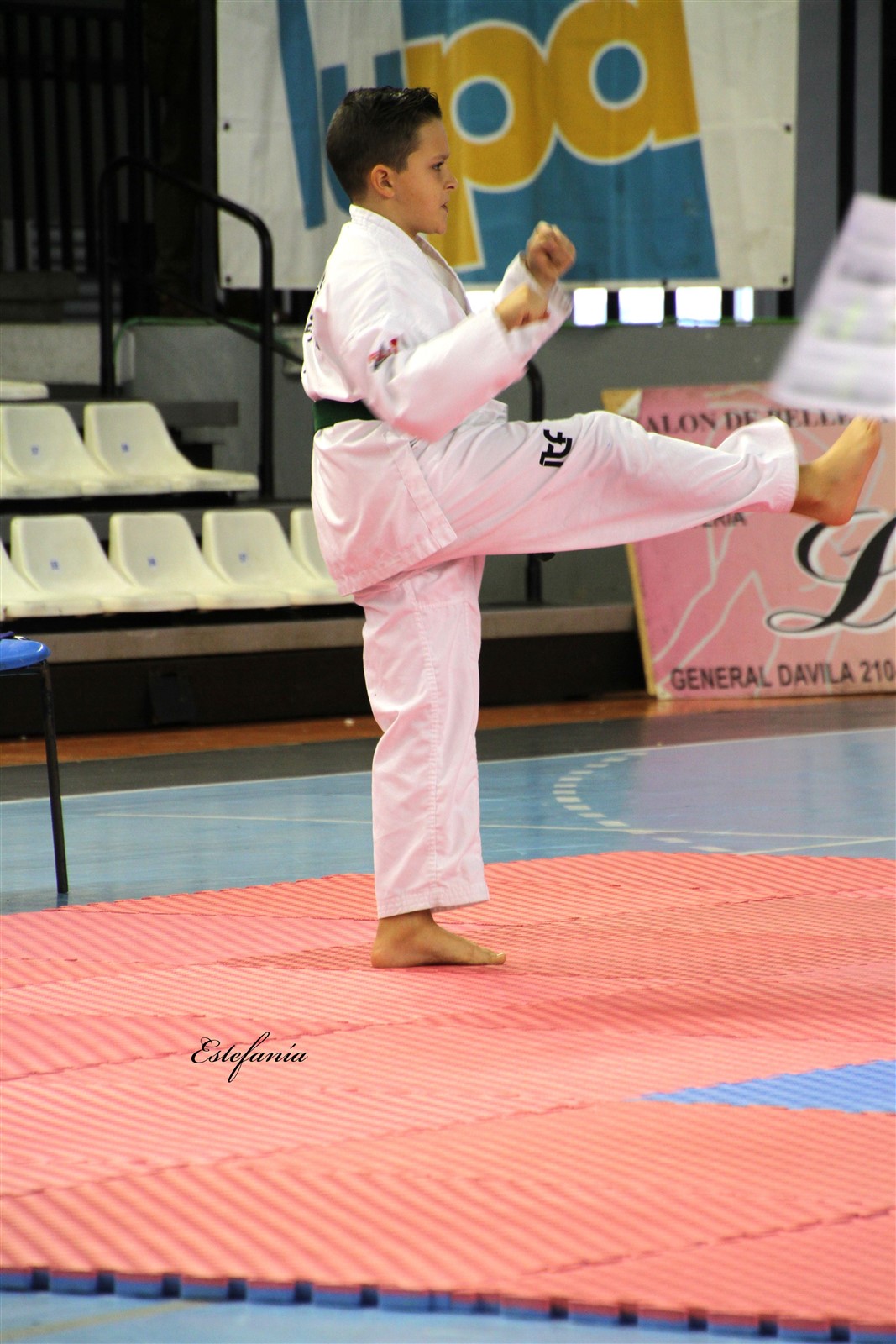 Taekwondo (76).jpg